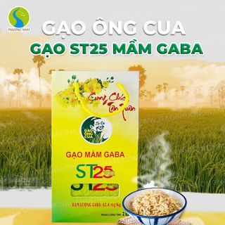 GẠO ST25 MẦM GABA CHÍNH HÃNG – GẠO ÔNG CUA
