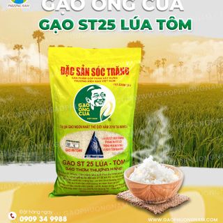 Gạo ST25 Lúa Tôm Chính Hãng – Gạo Ông Cua