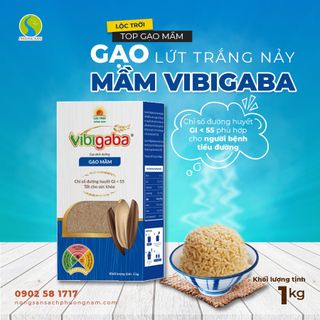Gạo Mầm Vibigaba