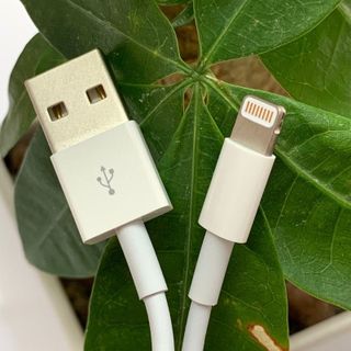 Cáp Sạc Lightning Foxconn 5W-1A