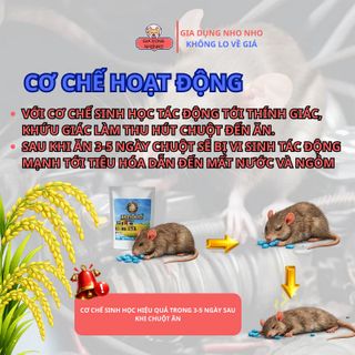 Viên Kiểm Soát Chuột RAT OFF Thái Lan Dạng Viên – Dễ Sử Dụng, Không Cần Trộn Mồi, Gói 15 Viên