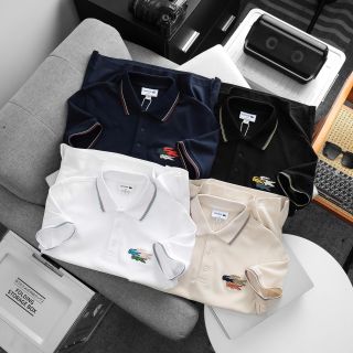 Áo thun nam. áo polo nam xịn. Chất vải xuất dư, mịn đẹp