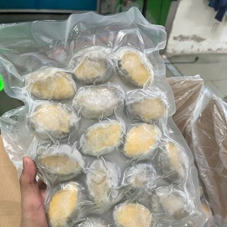 Bào Ngư size 16 con 1kg net 6 Giàu Dinh Dưỡng (giao hỏa tốc)
