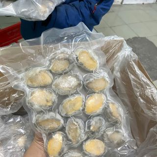 Bào Ngư size 16 con 1kg net 6 Giàu Dinh Dưỡng (giao hỏa tốc)