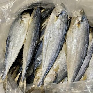 Khô Cá Bè Trang Cà Mau, Dày thịt, Vị Mặn Đậm Đà, Chuẩn Vị Miền Tây - 1KG