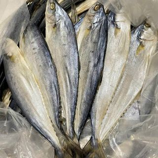 Khô Cá Bè Trang Cà Mau, Dày thịt, Vị Mặn Đậm Đà, Chuẩn Vị Miền Tây - 1KG