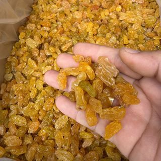 Nho vàng trung quốc