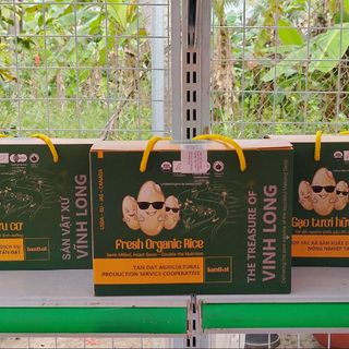 Gạo Hữu Cơ Tấm Sữa Nguyên Phôi Bổ Dưỡng Cho Trẻ Em Và Người Lớn Tuổi 3kg - TanDat