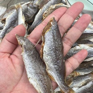 Khô cá đù 1KG/TÚI ít xương, dày thịt, thơm ngon, bỗ dưỡng cho mỗi bữa cơm, đảm bảo an toàn thực phẩm