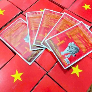 Miếng Dán Xương Cốt Quốc Kỳ Vạn Kim Hỗ Trợ Giảm Đau Nhức Xương Khớp