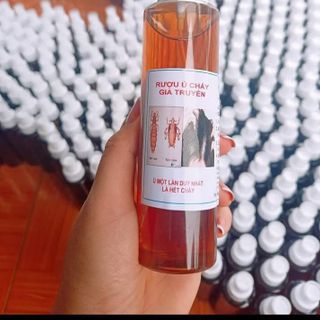 Ủ Chấy (chí) Gia Truyền