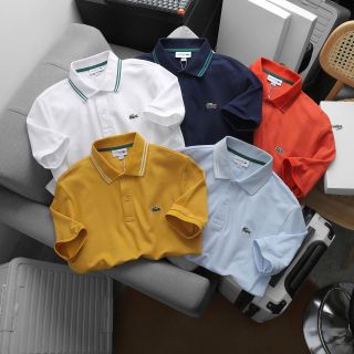 Polo nam Cao Cấp.  Chất cotton gai cá sấu  vừa vặn.