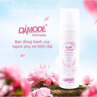 Dung dịch vệ sinh Gentle And Fresh Độc Quyền Damode chai 120ml