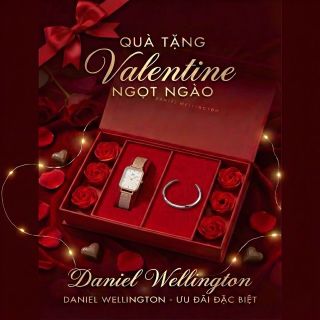 SET VALENTINE HỘP HOA HỒNG ĐỎ DANIEL W CAO CẤP DÂY QUARDO VÀ CUFF