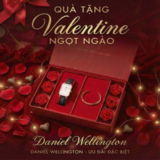 SET VALENTINE HỘP HOA HỒNG ĐỎ DANIEL W CAO CẤP DÂY QUARDO VÀ CUFF