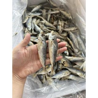 Khô cá nục hấp giàu dinh dưỡng , chất lượng hảo hạng , được chế biến từ hải sản tươi ngon vùng biển Cà Mau