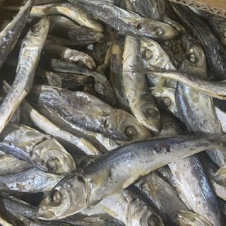 Khô cá nục hấp giàu dinh dưỡng , chất lượng hảo hạng , được chế biến từ hải sản tươi ngon vùng biển Cà Mau