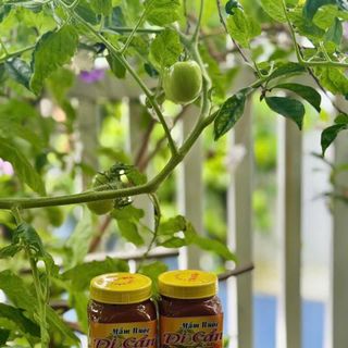 Mắm ruốc HỦ NHỎ Dì Cẩn Đà Nẵng, thêm gia vị ăn kèm với trái cây, rau củ luộc, thịt luộc - hủ 200g