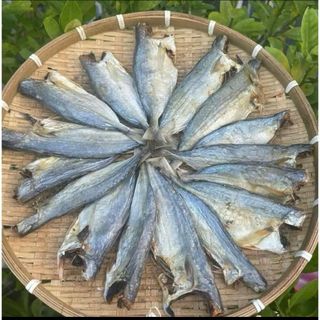 Đặc sản Cá Mặn Bạc Má (Cá lang tiêu) thơm ngon, béo, ngâm nước trước khi chế biến để rã mặn