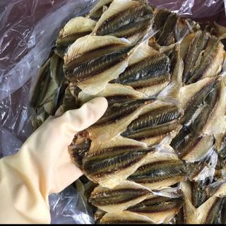 Khô cá Chỉ Vàng 500GRAM - Con to, ướp vừa ăn, màu tự nhiên- Đặc Sản Khô Miền Tây Food Thức Ăn