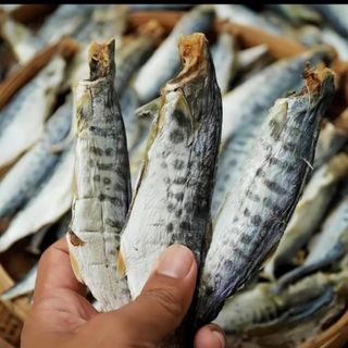 KHÔ CÁ THU CÀ MAU NGUYÊN CON VỪA ĂN, THỊT DAI, CHẮC - 500GR