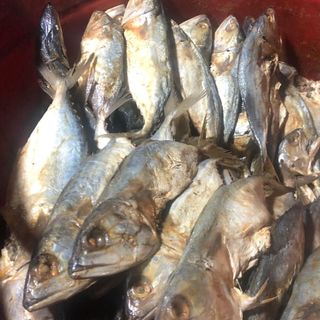 MẮM CÁ BẠC MÁ BÌNH ĐỊNH 500G (nguyên con)