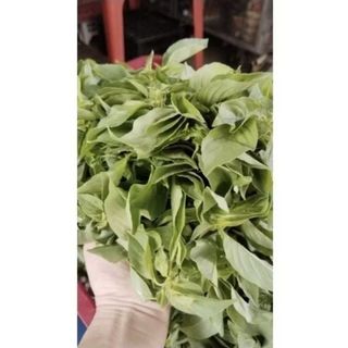 MUỐI LÁ É - ĐẶC SẢN MIỀN TRUNG - HƯƠNG VỊ MIỀN NAM, cay mặn - HỦ 100GR