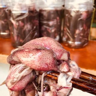 Hủ Mắm Mực Loại 1 [500Gr] - Đặc Sản Xứ Nẫu - Hàng Chính Gốc Bình Định ( nguyên con, chưa gia vị)