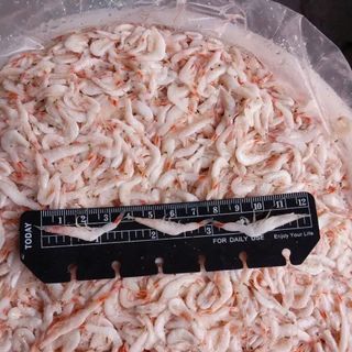 Ruốc muối - Mắm tép dùng làm kim chi, nước sốt hoặc ăn sống - 500GR/HỦ Chua