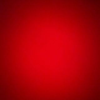 Áo nữ thể thao hàng xuất loại 1