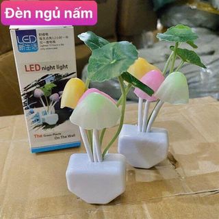 ĐÈN NGỦ NẤM (THÙNG 360C)