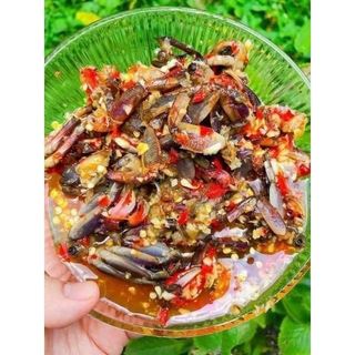 Mắm Ba Khía Cà Mau hủ 500gr - Chỉ tính Mắm Ba Khía, không tính nước - Trộn Sẵn Tỏi, Ớt Loại Con To Vừa Ăn Thơm Ngon. Nước Sốt Gia Vị