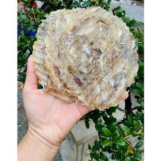 CÁ BÒ khô 500gr chuẩn thơm ngon chất lượng đặc sản miền núi, Chuẩn Ngọt Dày mình, không xương Food Thức Ăn