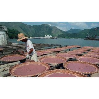 Mắm ruốc Huế đậm vị, thơm ngon, đặc sản Huế nấu bún bò, chấm thịt - 400GR/HỦ