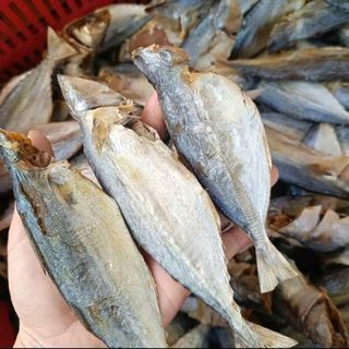 Đặc sản Cá Mặn Bạc Má (Cá lang tiêu) thơm ngon, béo, ngâm nước trước khi chế biến để rã mặn