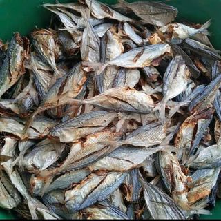 Đặc sản Cá Mặn Bạc Má (Cá lang tiêu) thơm ngon, béo, ngâm nước trước khi chế biến để rã mặn