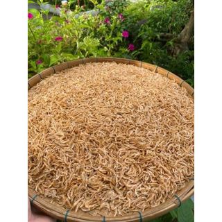 Ruốc Khô, Tép Khô Phú Quốc 500gr Đậm Đà Hương Vị Biển - Món Ngon Dân Dã Chính Gốc Từ Đảo Ngọc Food