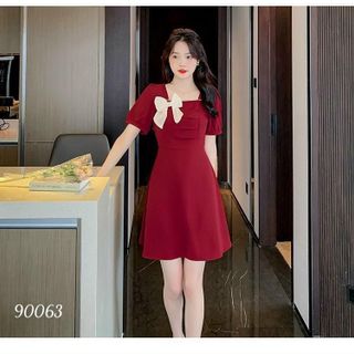 Váy đầm dự tiệc sang trọng bigsize chất liệu Ford cao cấp, mềm mại, thiết kế dáng xòe HN26 Nữ Voan