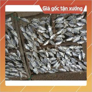 Khô cá ét vị mặn, ít xương, thịt dày, mùi thơm đặc trưng, đặc sản Phan Thiết