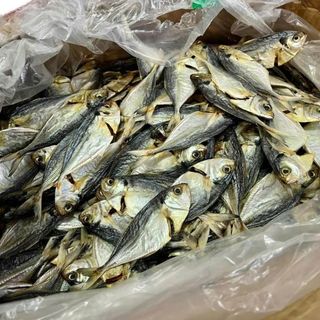 Khô cá ét vị mặn, ít xương, thịt dày, mùi thơm đặc trưng, đặc sản Phan Thiết