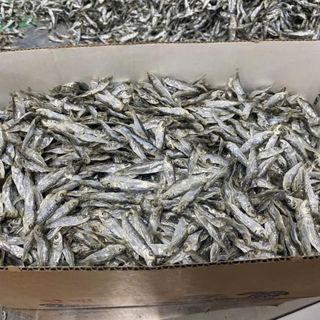 Khô Cá Trích vị nhạt, giòn, thơm, Chất Lượng Cao Cấp Xuất Khẩu, Dễ Chế Biến Thành Nhiều Món Ăn Ngon