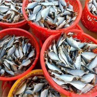 Đặc sản Cá Mặn Bạc Má (Cá lang tiêu) thơm ngon, béo, ngâm nước trước khi chế biến để rã mặn