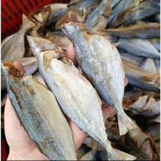 Đặc sản Cá Mặn Bạc Má (Cá lang tiêu) thơm ngon, béo, ngâm nước trước khi chế biến để rã mặn