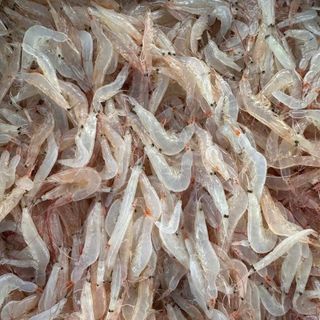 Moi biển ( Ruốc biển) - đặc sản vùng biển, chế biến nhiều món ăn hoặc ăn sống khi thêm gia vị- 500GR/HŨ