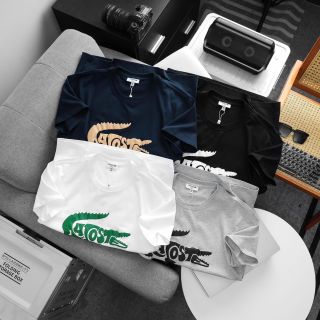 T- Shirt nam Full 4 colors.   Chất 100% COTTON chính phẩm co giản 4 chiều.