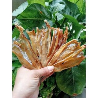 Khô cá mối ngon ,khối lượng 500gr ,chất lượng ngon , thịt dai thơm béo, KHÔNG DÙNG CHẤT BẢO QUẢN PHƠI KHÔ TỰ NHIÊN