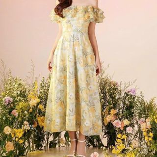 Đầm dự tiệc sang trọng cho mẹ bigsize, chất liệu voan lụa mềm mại, thiết kế dáng xòe đẹp cao cấp dự tiệc - HOA01