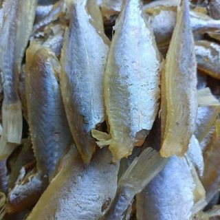 Cá mắt kính (cá Hồng lột da) rất ngon, nhiều thịt,, ít xương, vị mặn ( cần ngâm nước trước khi chế biến)