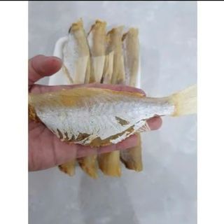 Cá mắt kính (cá Hồng lột da) rất ngon, nhiều thịt,, ít xương, vị mặn ( cần ngâm nước trước khi chế biến)