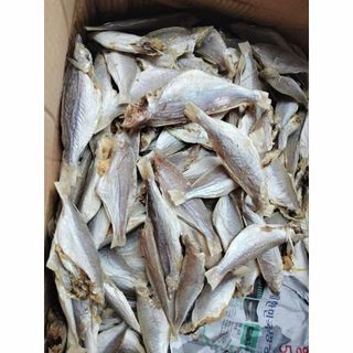 Khô cá đù ít xương, dày thịt, thơm ngon, bỗ dưỡng cho mỗi bữa cơm, đảm bảo an toàn thực phẩm 1KG